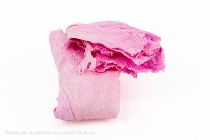 MOERBEISCHORS ROOS +/ - 200GR - bloemschikmaterialen.com