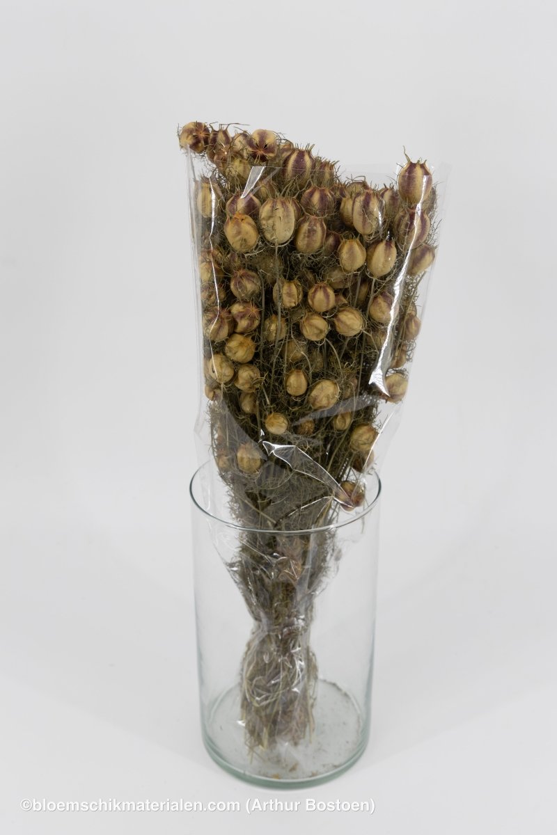 NIGELLA NATUREL - bloemschikmaterialen.com