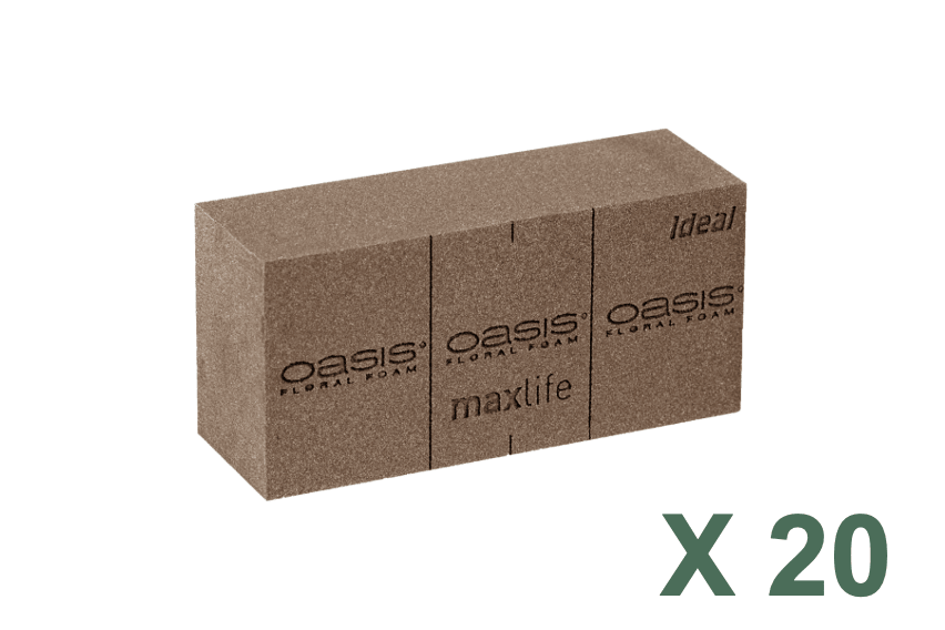 OASIS BIO STEEKSCHUIM STEEN 20ST - bloemschikmaterialen.com