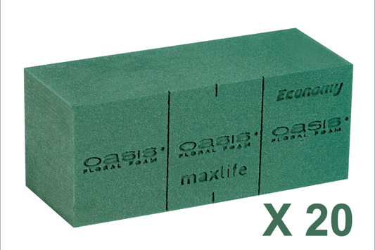 OASIS ECONOMY BLOKKEN 20ST (20X10X8CM) - bloemschikmaterialen.com