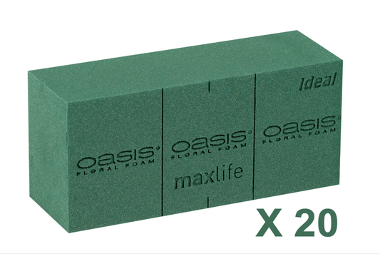 OASIS IDEAL BLOKKEN 20ST (23X11X8CM) - bloemschikmaterialen.com