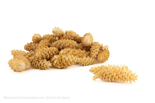 OMORIKA GERASPELD GEBLEEKT +/ - 500GR - bloemschikmaterialen.com