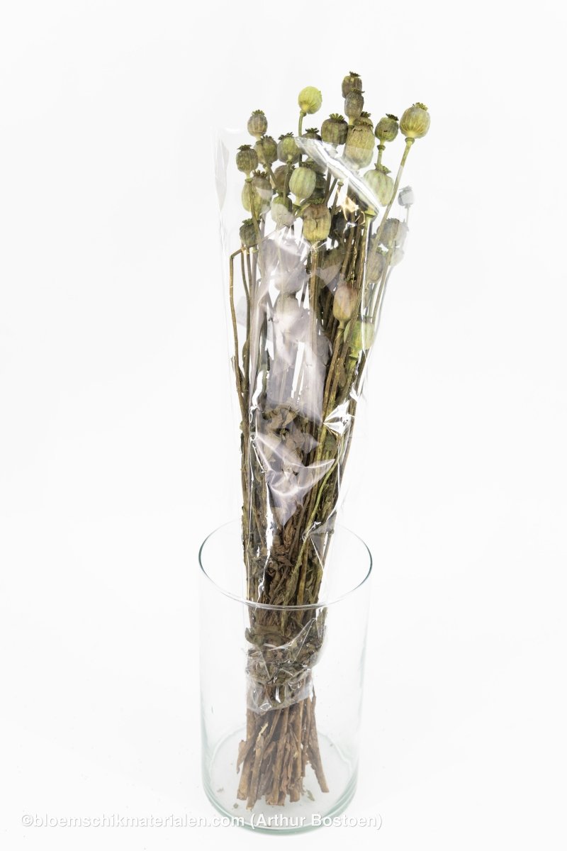 PAPAVER GROEN - bloemschikmaterialen.com
