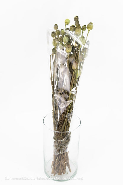 PAPAVER GROEN - bloemschikmaterialen.com