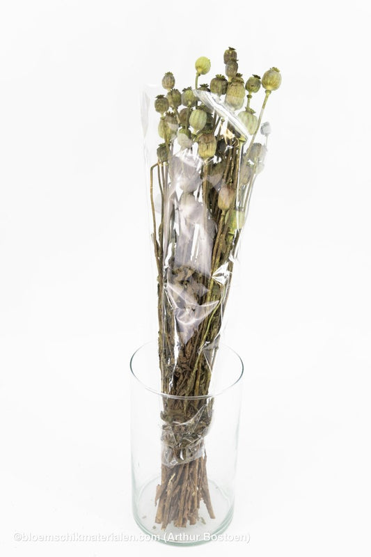 PAPAVER GROEN - bloemschikmaterialen.com