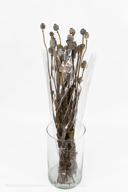 PAPAVER NATUREL - bloemschikmaterialen.com