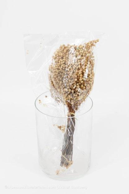 PEPPERBERRY GEBLEEKT - bloemschikmaterialen.com