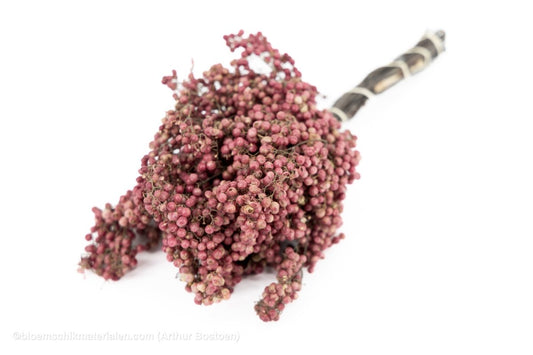 PEPPERBERRY NATUREL - bloemschikmaterialen.com