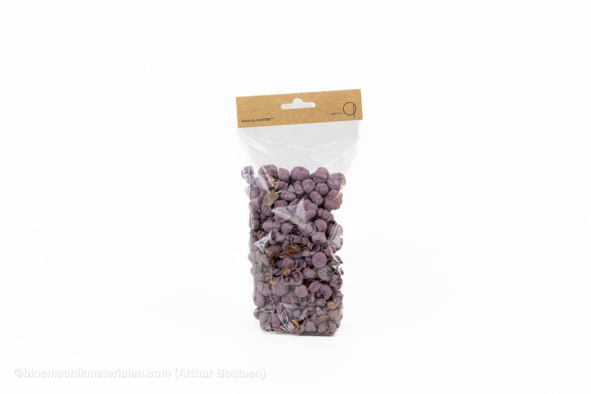 PHUTKA PODS BLACKBERRY +/ - 50GR - bloemschikmaterialen.com