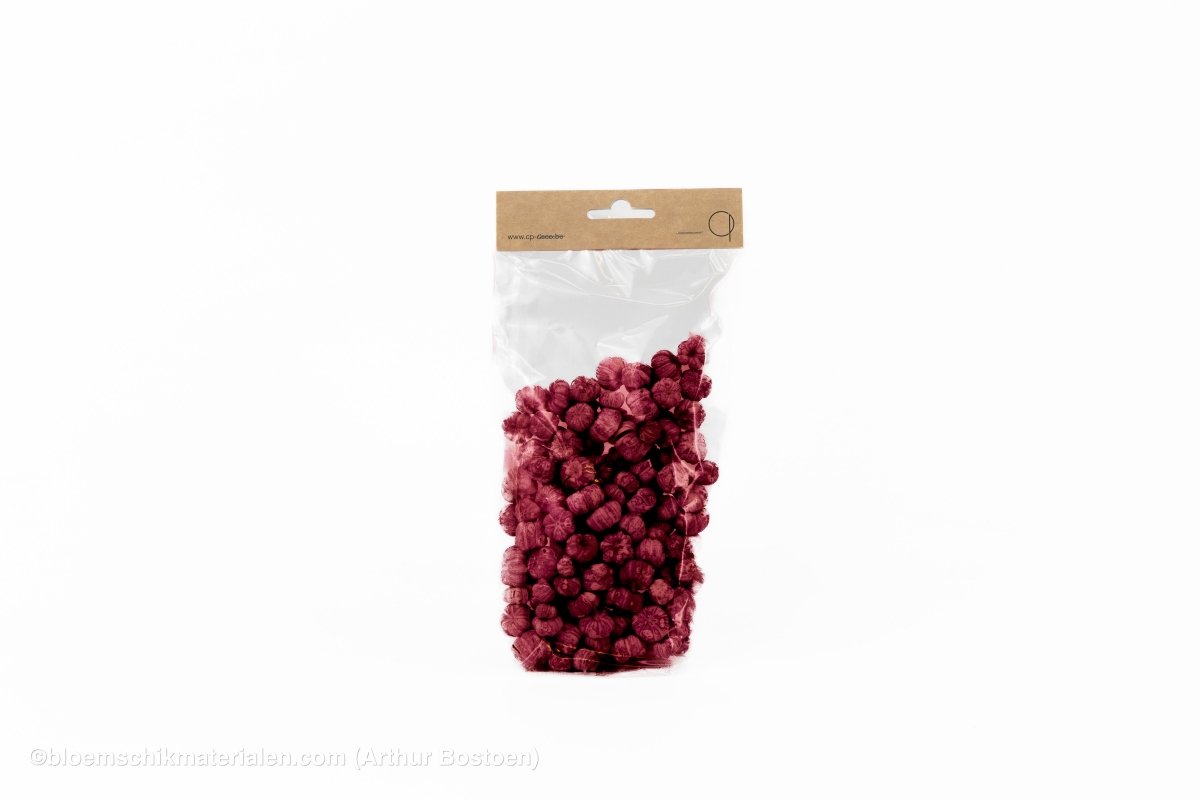 PHUTKA PODS BORDEAUX +/ - 50GR - bloemschikmaterialen.com