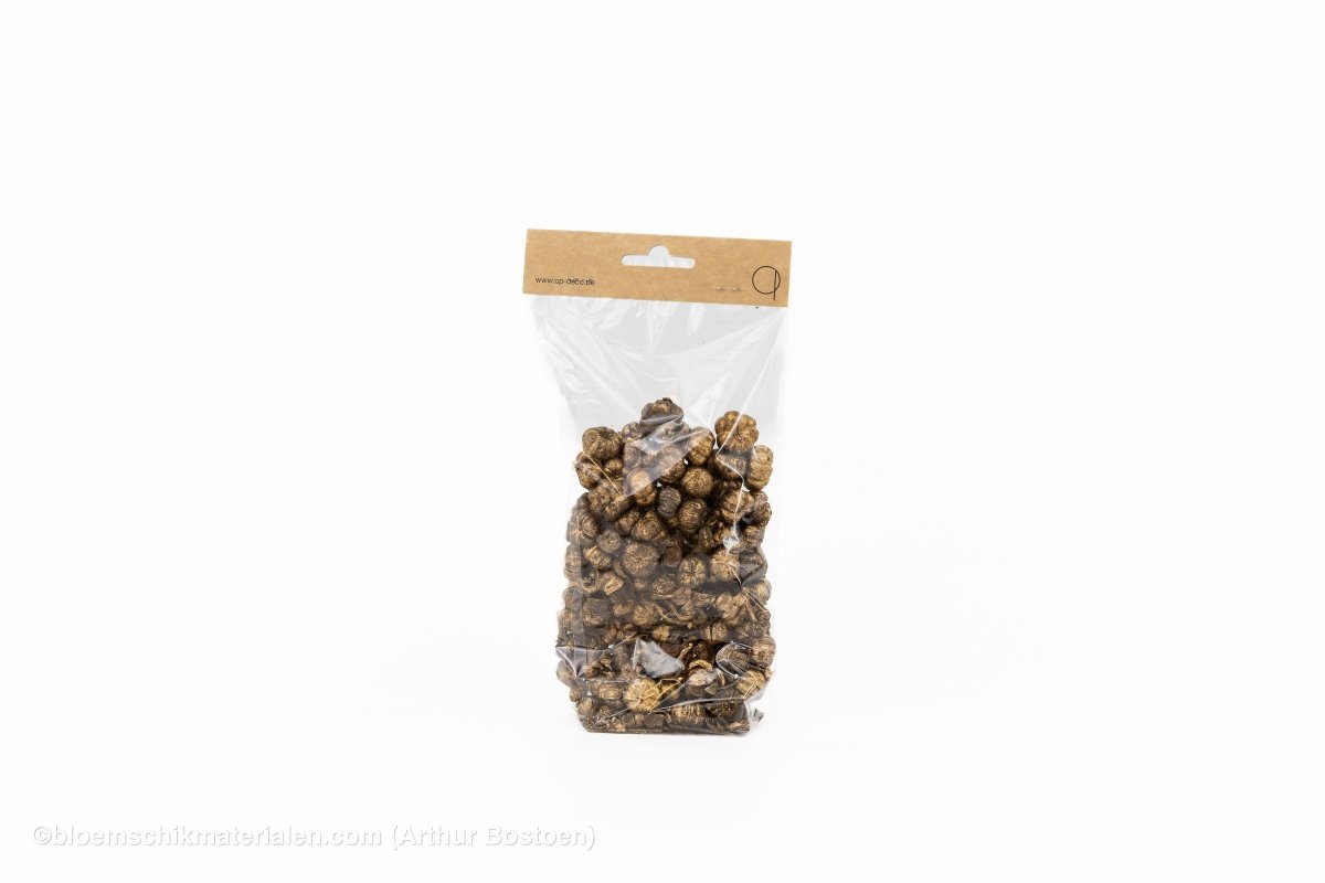 PHUTKA PODS GOUD +/ - 50GR - bloemschikmaterialen.com