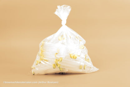 PLASTIC BUISJE 16CC 11X1,7CM 100ST (BLOEMFLESJE/PIPET) - bloemschikmaterialen.com