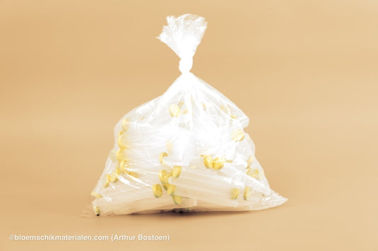 PLASTIC BUISJE 16CC 11X1,7CM 100ST (BLOEMFLESJE/PIPET) - bloemschikmaterialen.com