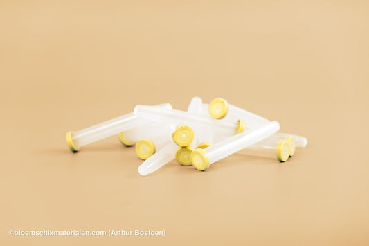 PLASTIC BUISJE 16CC 11X1,7CM 100ST (BLOEMFLESJE/PIPET) - bloemschikmaterialen.com