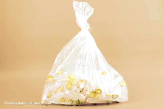 PLASTIC BUISJE 35CC 11X2,4CM 100ST ((BLOEMFLESJE/PIPET) - bloemschikmaterialen.com