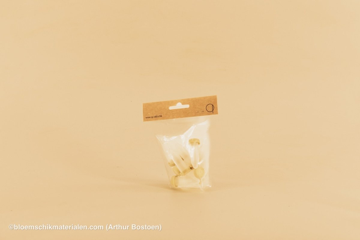 PLASTIC BUISJE 4CC 5X1.5CM 10ST (BLOEMFLESJE/PIPET) - bloemschikmaterialen.com