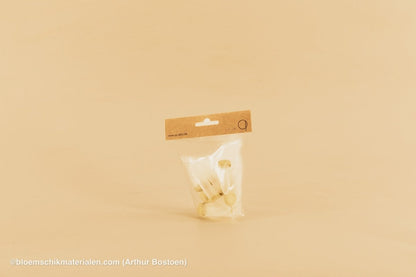 PLASTIC BUISJE 4CC 5X1.5CM 10ST (BLOEMFLESJE/PIPET) - bloemschikmaterialen.com