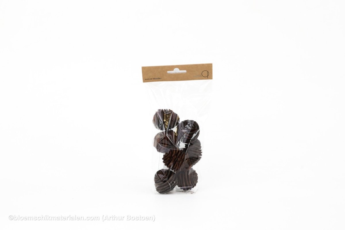 PLATYSPERMUM MED NATUREL +/ - 100GR - bloemschikmaterialen.com