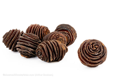 PLATYSPERMUM MEDIUM NATUREL 1KG - bloemschikmaterialen.com