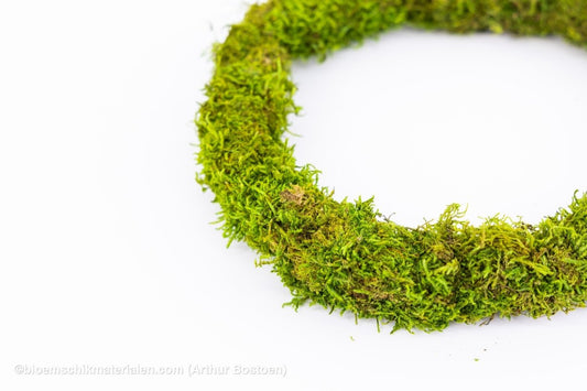 RING GROEN GECONCERVEERD MOS 21 CM - bloemschikmaterialen.com