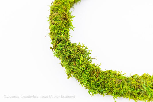 RING GROEN GECONCERVEERD MOS 26 CM - bloemschikmaterialen.com