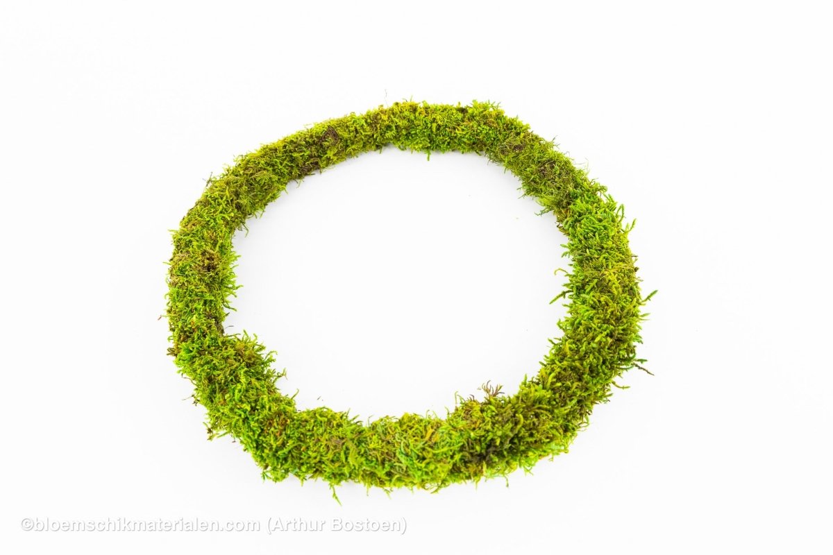 RING GROEN GECONCERVEERD MOS 26 CM - bloemschikmaterialen.com