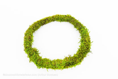 RING GROEN GECONCERVEERD MOS 26 CM - bloemschikmaterialen.com