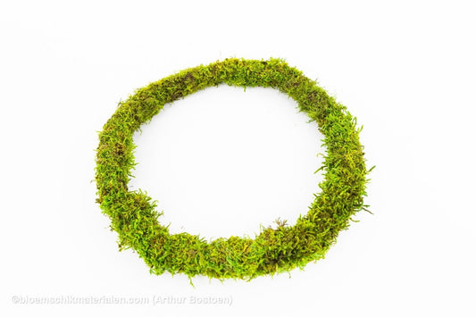 RING GROEN GECONCERVEERD MOS 26 CM - bloemschikmaterialen.com