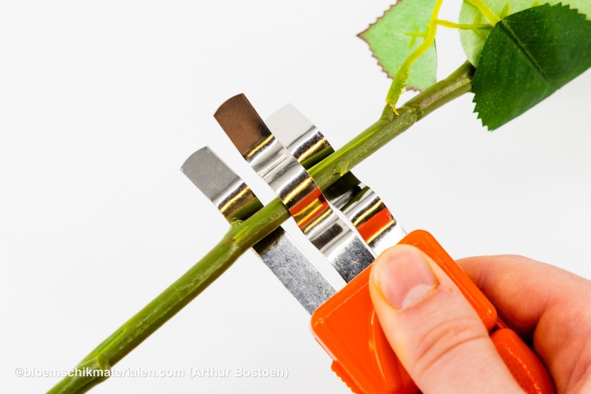 ROZENONTDOORNER GROOT - bloemschikmaterialen.com