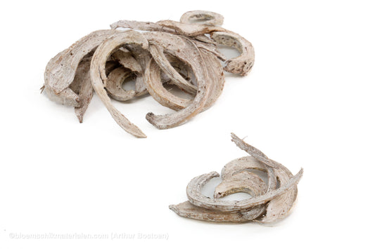 COCO CURL WHITE WASH +/-75GR