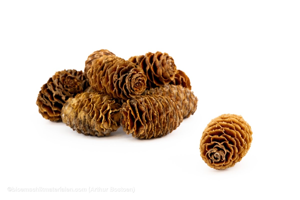 SABULOSUM NATUREL +/ - 1KG - bloemschikmaterialen.com