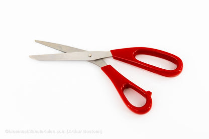 SCHAAR LANGOOG (8 - 1/4) (ROOD) - bloemschikmaterialen.com