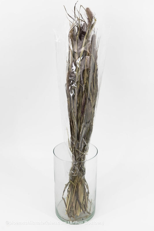 SETARIA RED JEWEL NATUREL - bloemschikmaterialen.com