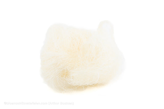 SISAL GEBLEEKT +/-20GR