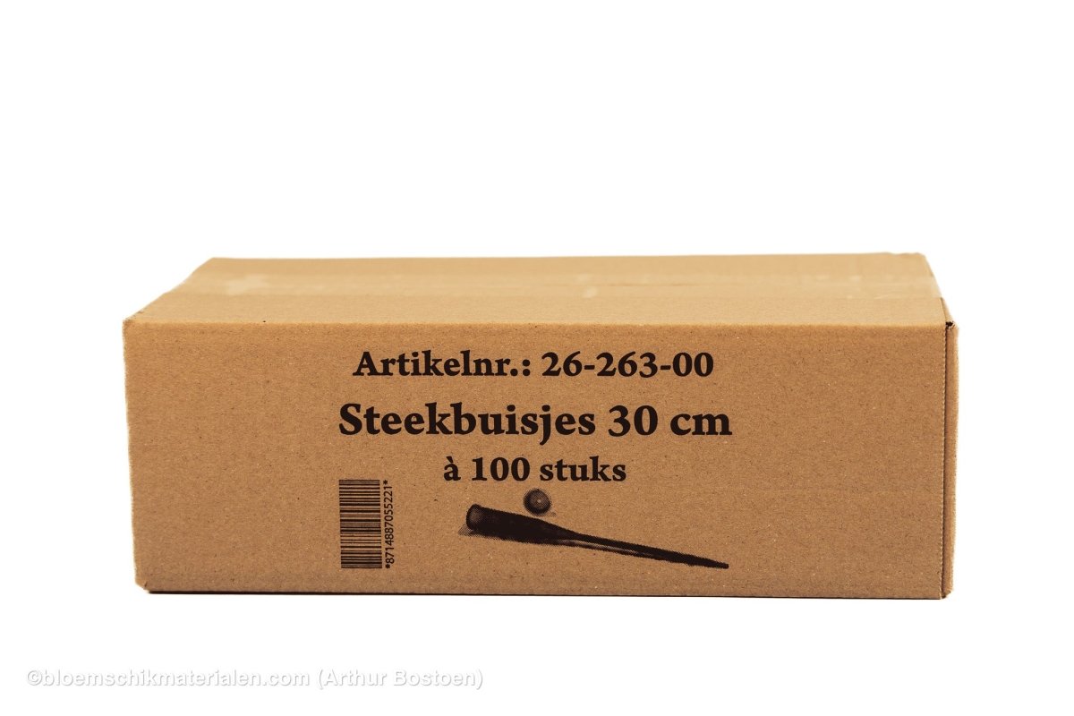STEEKBUIS PLASTIC 100ST (30CM) - bloemschikmaterialen.com