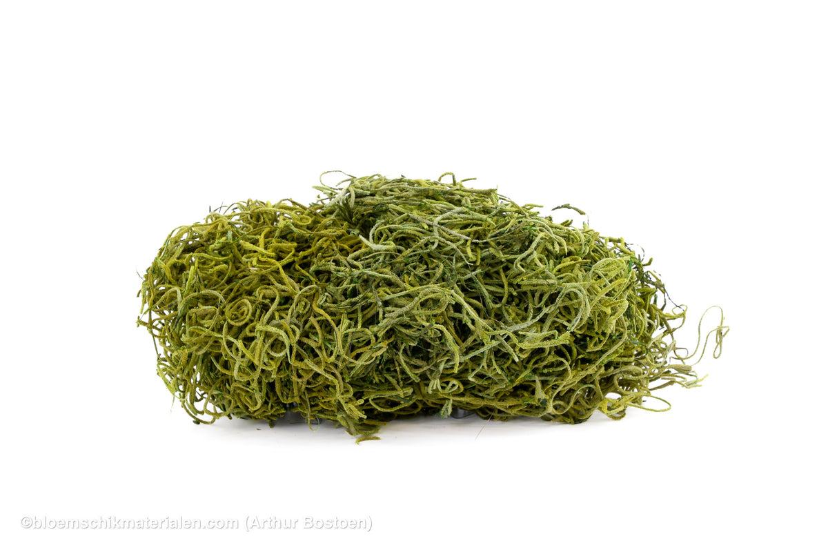TISLANDSIA (TILLANDSIA) APPELGROEN +/-200GR