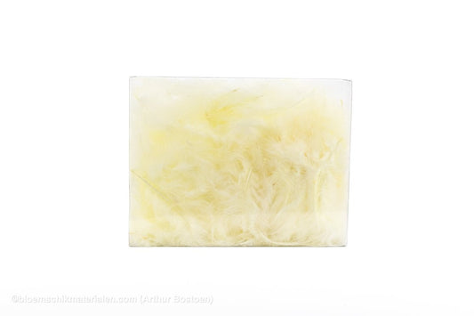 VEREN FLATS ECRU +/ - 10GR - bloemschikmaterialen.com