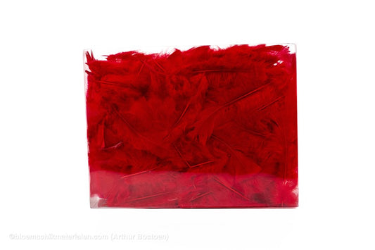 VEREN FLATS ROOD+/ - 45GR - bloemschikmaterialen.com