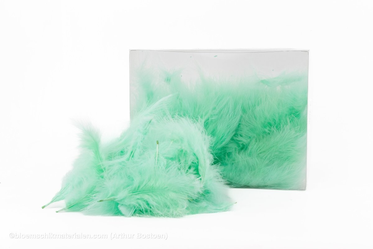 VEREN MARABOU GROOT MUNT +/ - 10GR - bloemschikmaterialen.com