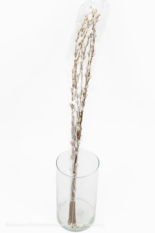 WILGENKATJES NATUREL 70-80CM 8ST - bloemschikmaterialen.com