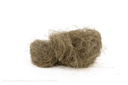 ZEEGRAS NATUREL +/ - 150GR - bloemschikmaterialen.com