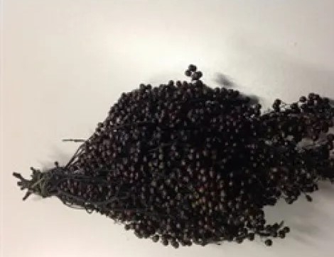 Pepperberry Zwart