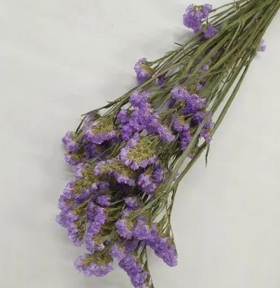 Statice Sinuata lila naturel - 1 bos