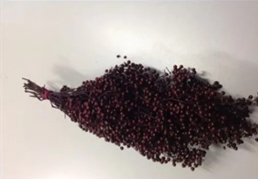Pepperberry Bordeaux