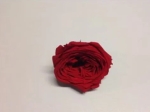 Geconserveerde roos (English Rose Kate) +/- 5 cm rood (4 stuks)