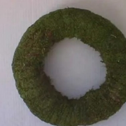 Krans geconserveerd groen mos 26 cm