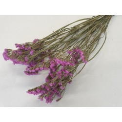 Statice Sinuata roze naturel - 1 bos