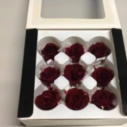 Geconserveerde roos (Kitty) +/- 3,5 cm bordeaux (9 stuks)