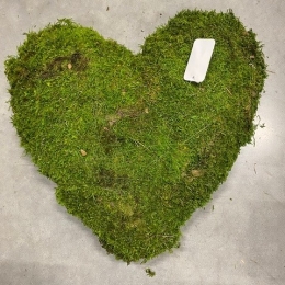 Hart geconserveerd groen mos 40 cm