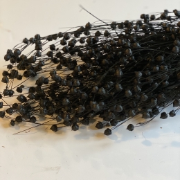 Linum (Vlas) zwart ±100 gr